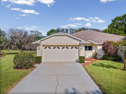 Photo of 11621 Holly Ann Drive, New Port Richey, FL 34654 (MLS # W7884297)