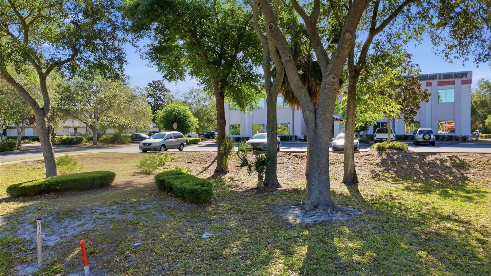 PINES REP - Commercial Lease