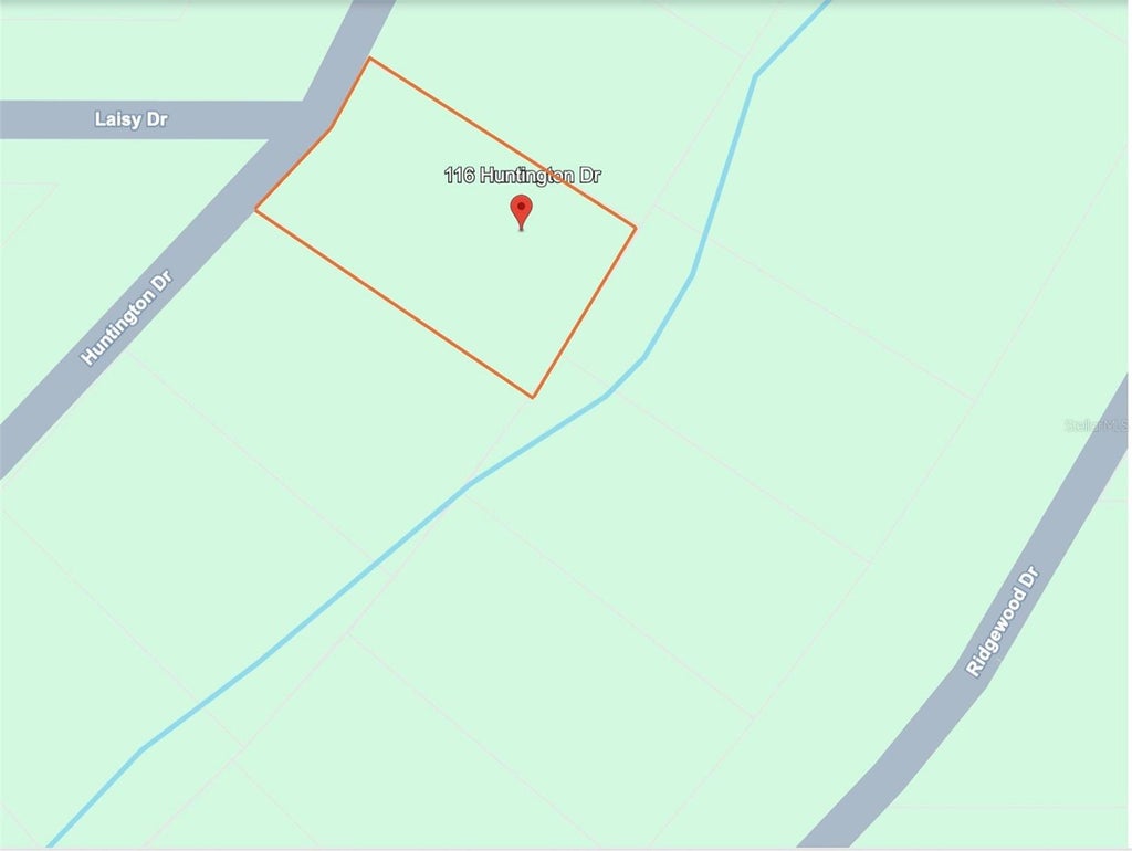 Photo of 116 Huntington Drive, Georgetown, FL 32139 (MLS # O6448254)
