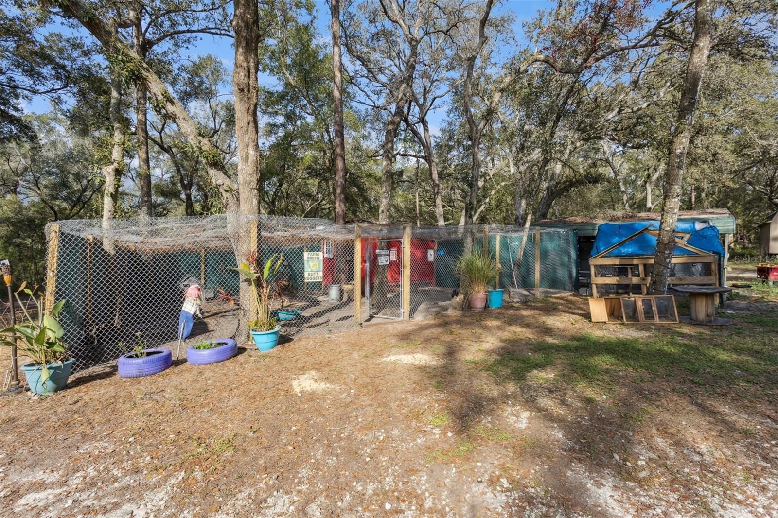 PINE TREE ESTATES - Residential