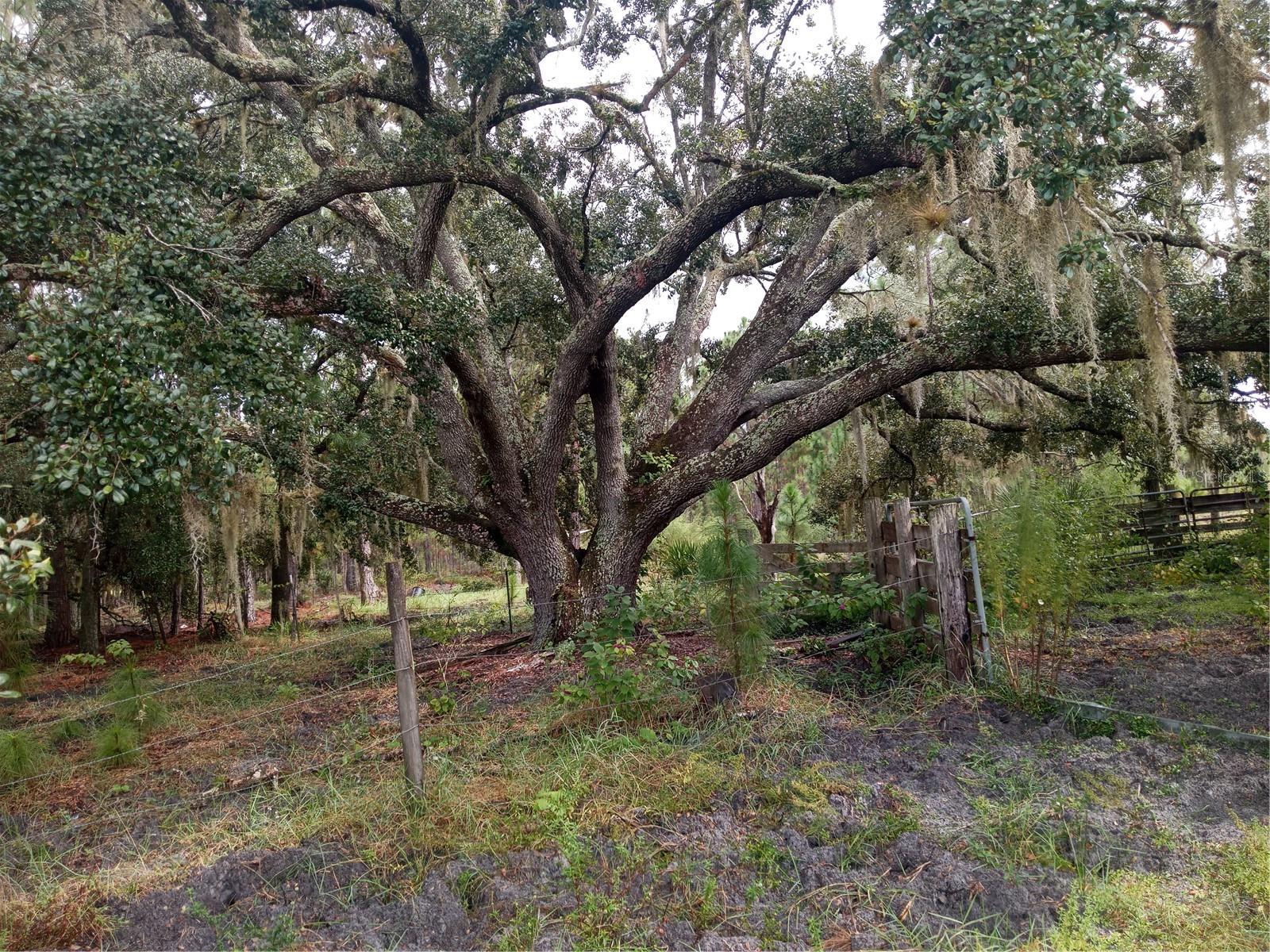 POLK COUNTY - Residential