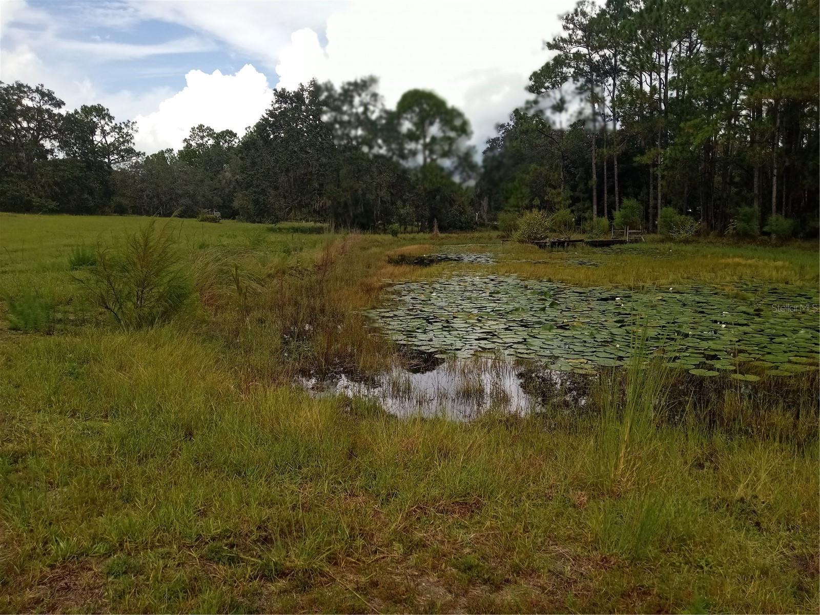 POLK COUNTY - Residential