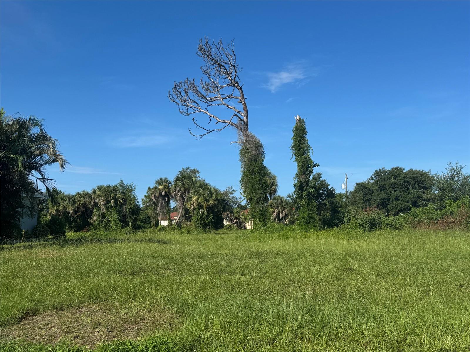 Excellent opportunity to build your dream home on a beautiful lot located on a greenbelt in the rapidly growing deed restricted community of ROTONDA WEST boasting 5 GOLF COURSES with 99 holes, WALKING and BIKING trails including the 8 mile long Cape Haze Trail! This IDEAL location features city water and sewer and not in a scrub jay zone according to county records and with the SW rear exposure to enjoy BREATHTAKING SUNSETS year round! The Rotonda West area features a new Community Center, a beautiful 165 acre park with tennis/pickleball courts, a playground, picnic area, lakes, lush landscaping with an abundance of birds and wildlife and is just a quick drive to our beautiful GULF BEACHES (Englewood, Boca Grande, Venice, Manasota). If you like to FISH or BOAT, we are the capital of WORLD CLASS TARPON fishing and there are dozens of boat ramps, fishing piers and marinas in the surrounding areas for your convenience. Also located within close proximity to local, regional and international airports! New homes are being built nearby so secure your piece of paradise today knowing you can enjoy all that sunny SW Florida has to offer including our breathtaking sunsets!!!! Reputable builder info available. HOA only $190 per year!!