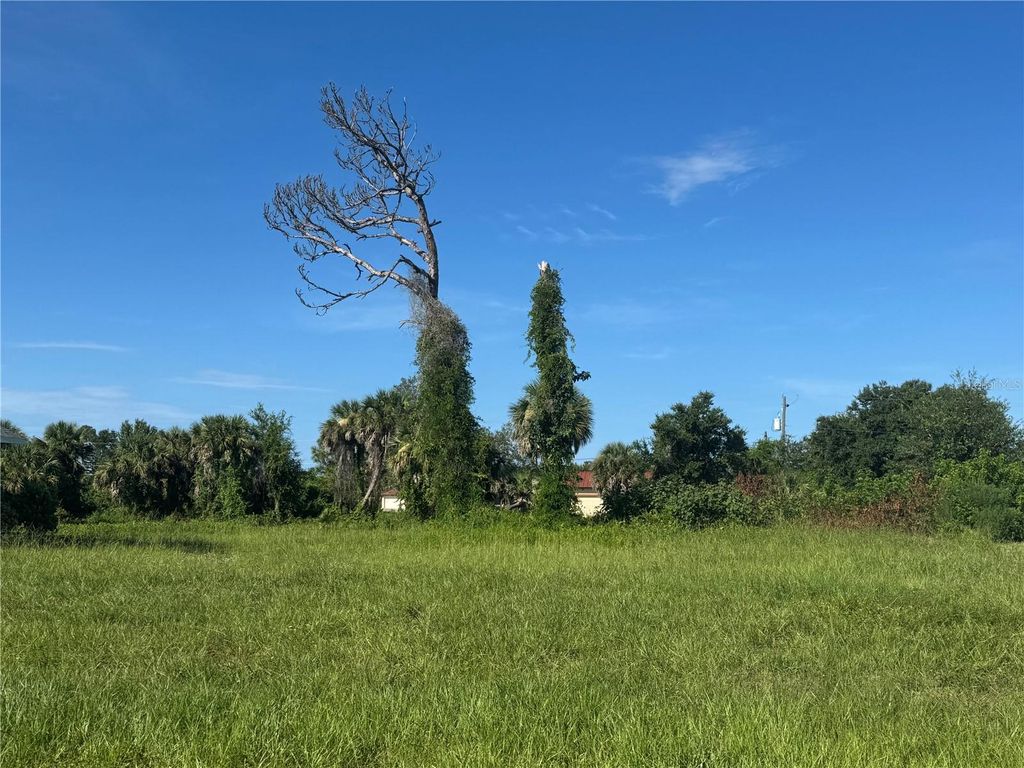 Photo of 263 White Marsh Lane, Rotonda West, FL 33947 (MLS # D6143185)