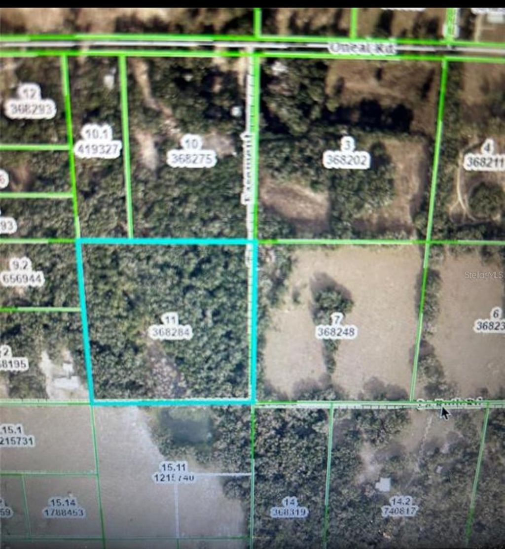 Photo of La Ruth Road, Brooksville, FL 34601 (MLS # TB8425218)