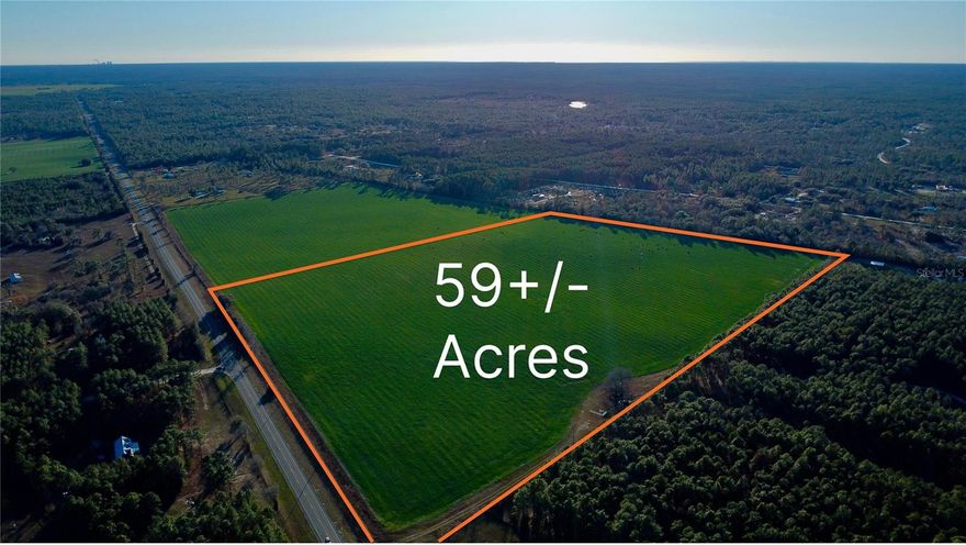 Exceptional agricultural opportunity featuring 59± productive acres along State Road 121 in rural Levy County, FL. This beautiful rolling acreage consists of four 10-acre parcels and one 19-acre parcel, offering flexibility for single ownership or potential subdivision. Currently planted with rye as an active cover crop and positioned on a major north-south corridor, the land features paved highway frontage. With fencing on three sides, water, and electric already in place, this improved property is ready for immediate agricultural, grazing or equestrian use.  Ideal for row crop production, cattle operations, equestrian and farm estate development.

Ideal Crop and Cattle Property
Able to be Subdivided 
Water & Electric to site
No Wetlands
Five Separate Parcels 
Highway Frontage
28 minutes to WEC
