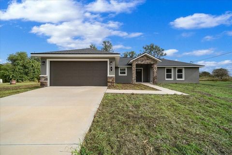 Photo of 3 Malauka Radial Track, Ocklawaha, FL 32179 (MLS # OM707454)