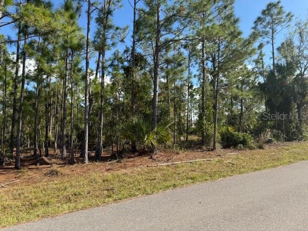 Photo of 142 Algonquin Street, Port Charlotte, FL 33954 (MLS # C7502141)