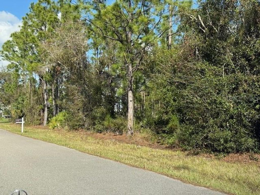 Photo of 142 Algonquin Street, Port Charlotte, FL 33954 (MLS # C7502141)