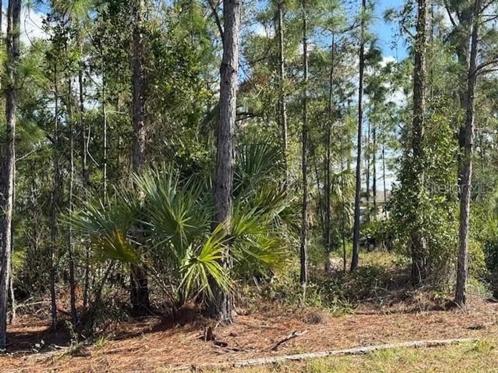 Photo of 142 Algonquin Street, Port Charlotte, FL 33954 (MLS # C7502141)