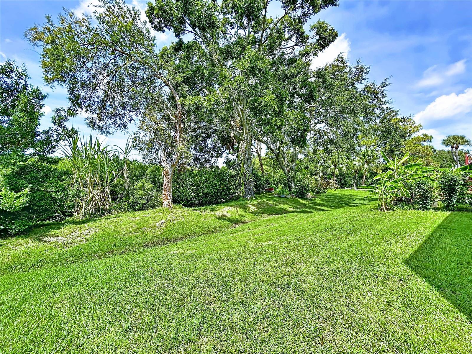 LONG BAYOU ESTATES - Residential