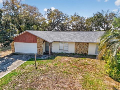 Photo of 189 Autumn Avenue, Lake Placid, FL 33852 (MLS # O6389019)