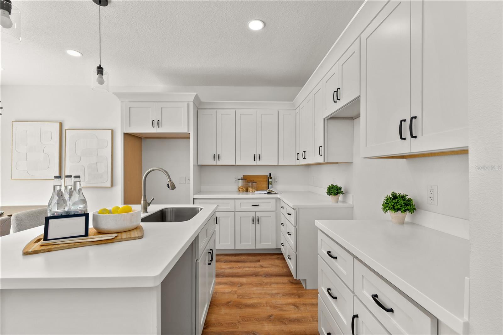 MOUNT DORA - Residential