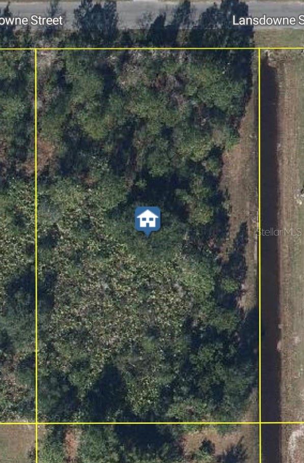 Build your dream home on this exceptional vacant lot in Wedgefield Cape Orlando Estates, one of East Orlando’s most sought-after communities! This expansive lot offers the perfect blend of privacy and natural beauty, nestled among custom-built homes and surrounded by serene Florida landscape. Enjoy the peace and space of country living with convenient access to major highways, the Orlando International Airport, Lake Nona Medical City, UCF, and the Space Coast beaches. Whether you’re looking to build now or invest for the future; this is an outstanding opportunity in a rapidly growing area. Don’t miss your chance to own a piece of paradise in Wedgefield!