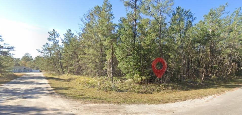 Photo of Fisher Run Terrace, Ocklawaha, FL 32179 (MLS # TB8542422)