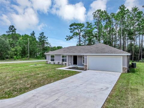 Photo of 742 W Deacon Place, Citrus Springs, FL 34434 (MLS # O6359914)