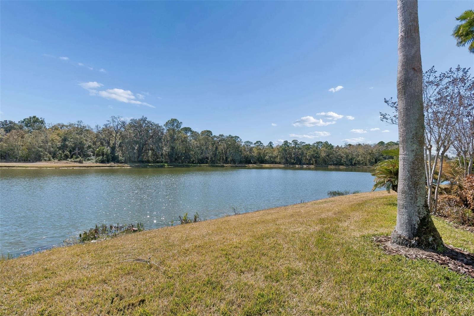 SOLIVITA PH 01 - Residential