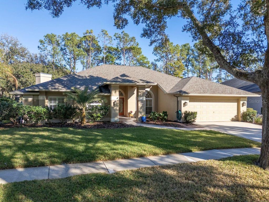Photo of 3910 Turkey Oak Drive, Valrico, FL 33596 (MLS # TB8478333)