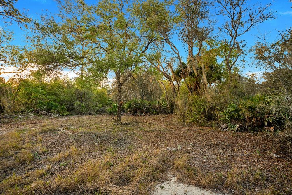 POINCIANA NBRHD 02 WEST VILLAGE 07 - Land