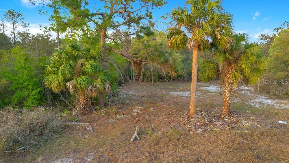 Listing image 7