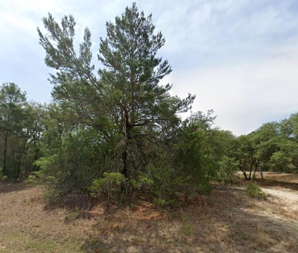 Photo of 1426 W Delores Dr, Citrus Springs, FL 34434 (MLS # OM705332)