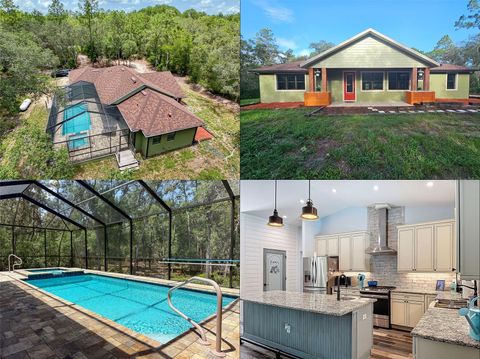 34335 BERRYHILL DRIVE WEBSTER FL 33597