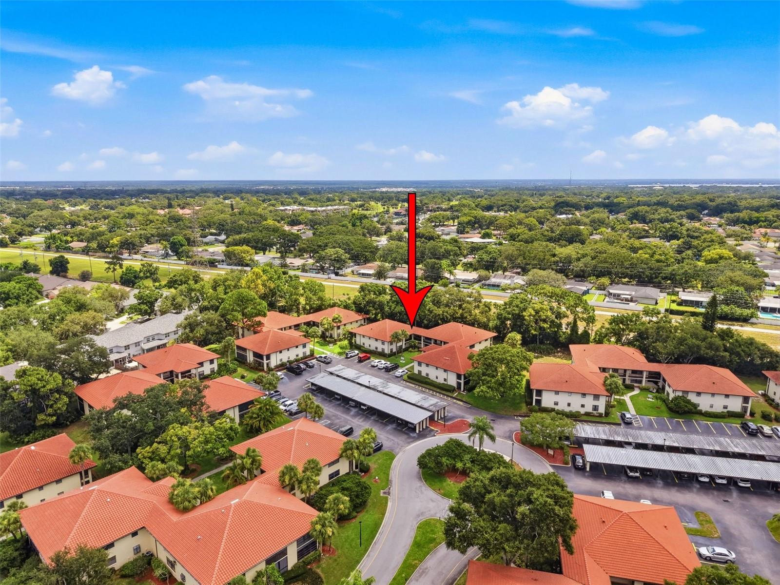 1309 HAMMOCK PINE BOULEVARD 1309