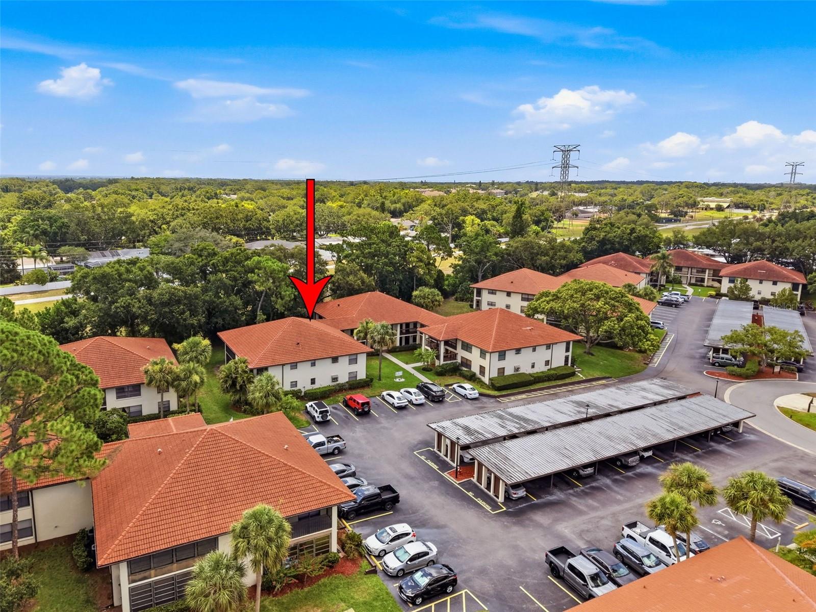 1309 HAMMOCK PINE BOULEVARD 1309