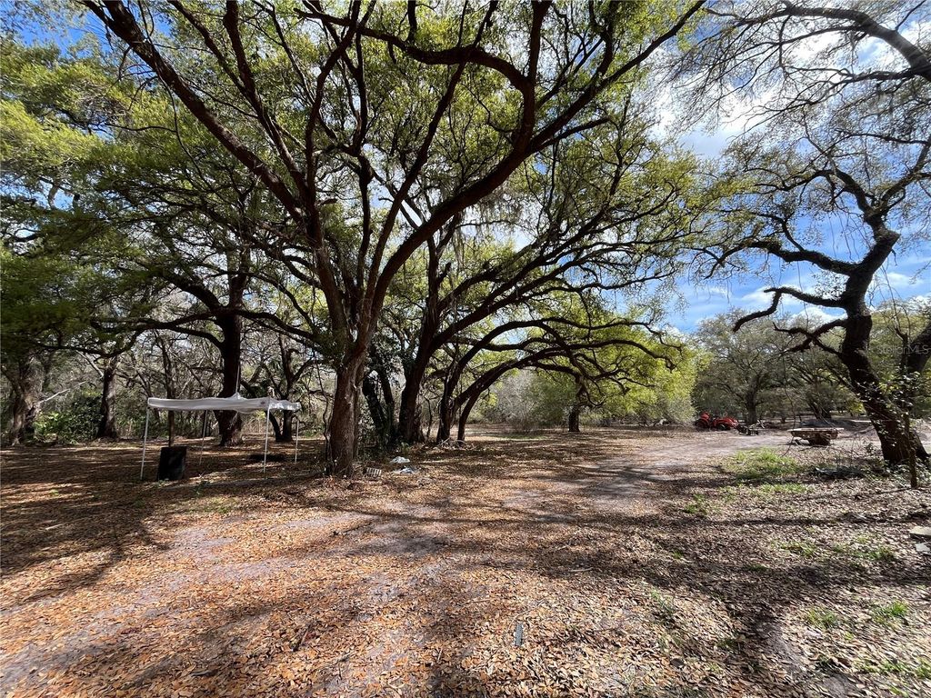 Photo of 2540 Tiger Creek Trail, Lake Wales, FL 33898 (MLS # P4938130)