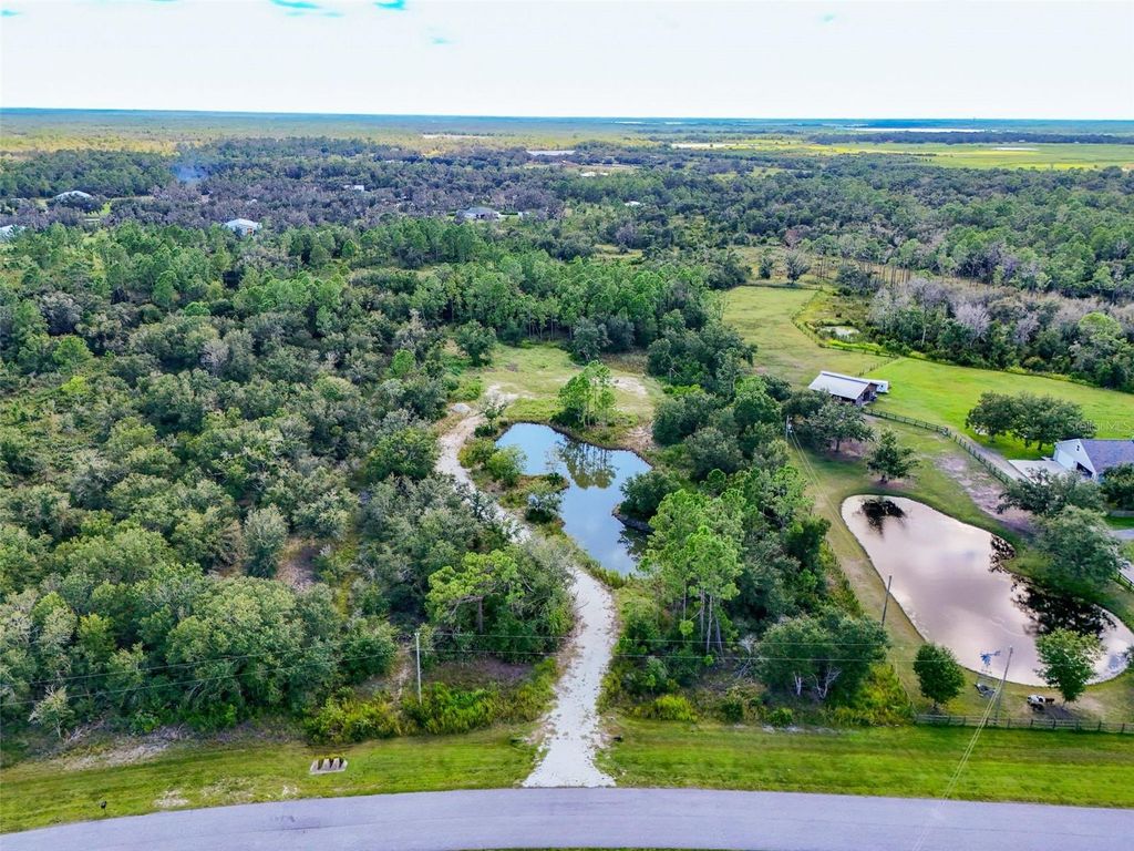 Photo of 40120 20th Place E, Myakka City, FL 34251 (MLS # A4666000)