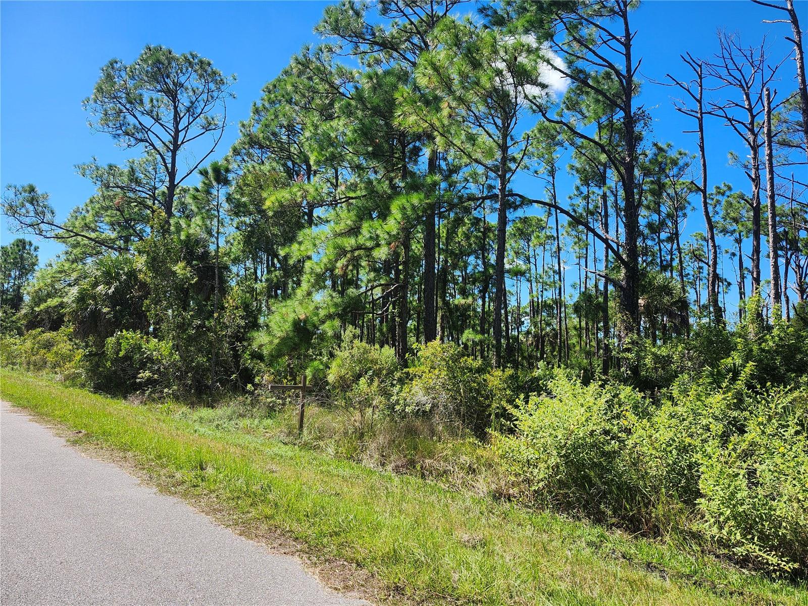 PORT CHARLOTTE SEC55 - Land