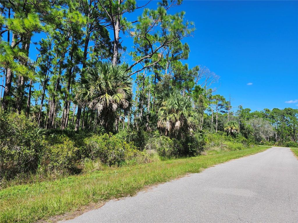 Photo of 1021 Nautilus Terrace, Port Charlotte, FL 33953 (MLS # C7516933)