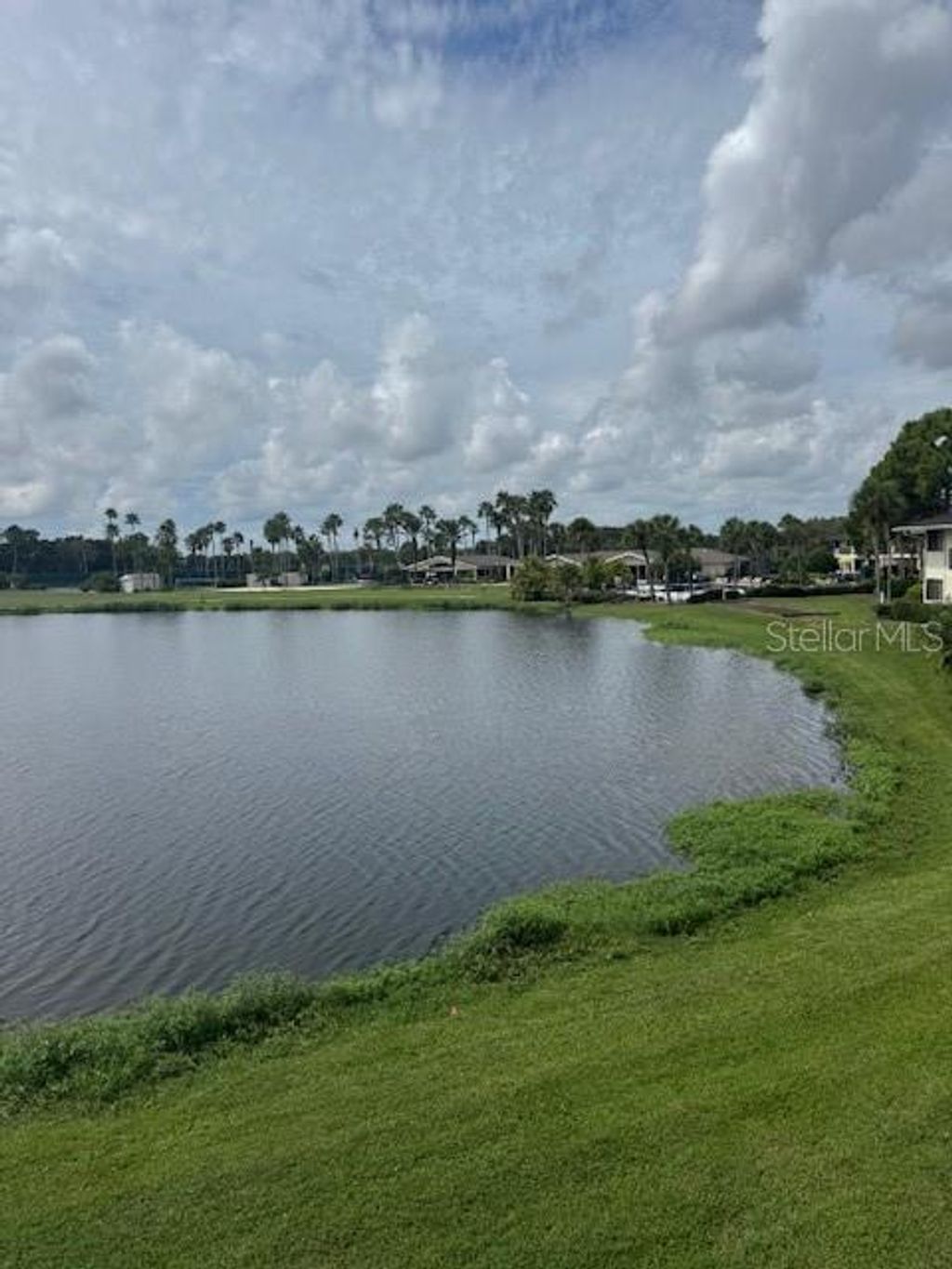 Photo of 29230 Bay Hollow Drive N #3282, Wesley Chapel, FL 33543 (MLS # TB8435877)