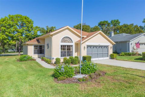 Photo of 11321 Copley Court, Spring Hill, FL 34609 (MLS # TB8442388)