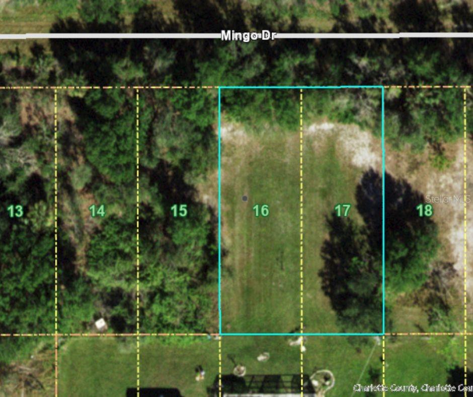 Tropical Gulf Acres Community Alert!! the biggest sized vacant lot is now available for you. 9,599 Sqft. to build or to own a piece of property in Punta Gorda. Close to downtown Punta Gorda and Cape Coral, easy access to I-75 and 41 Tamiami Trail, welcome to the peacefully and quiet lifestyle in Southwest Florida. Don't wait no further and take step on your ownership journal here at 27087 MINGO DR, PUNTA GORDA, FL 33955.