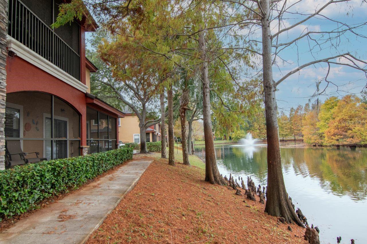 TUSCANY AT INNISBROOK CONDO - Residential