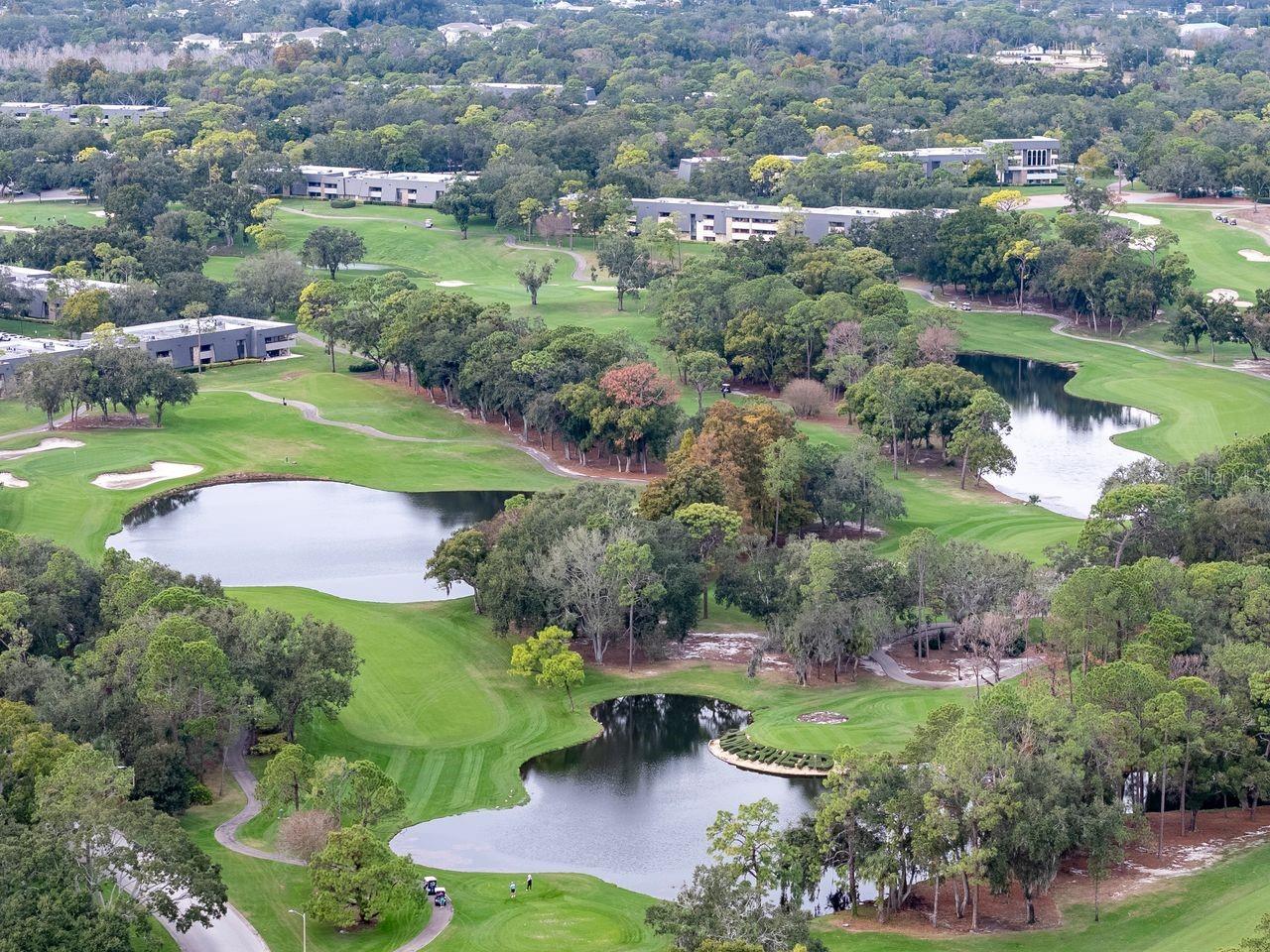 TUSCANY AT INNISBROOK CONDO - Residential