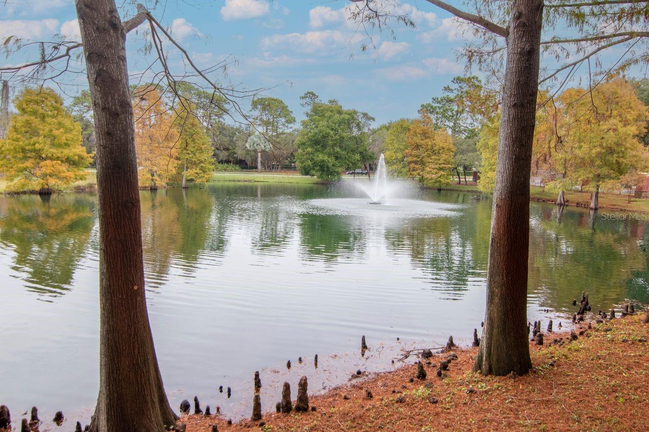 TUSCANY AT INNISBROOK CONDO - Residential
