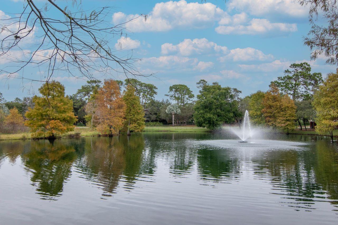 TUSCANY AT INNISBROOK CONDO - Residential