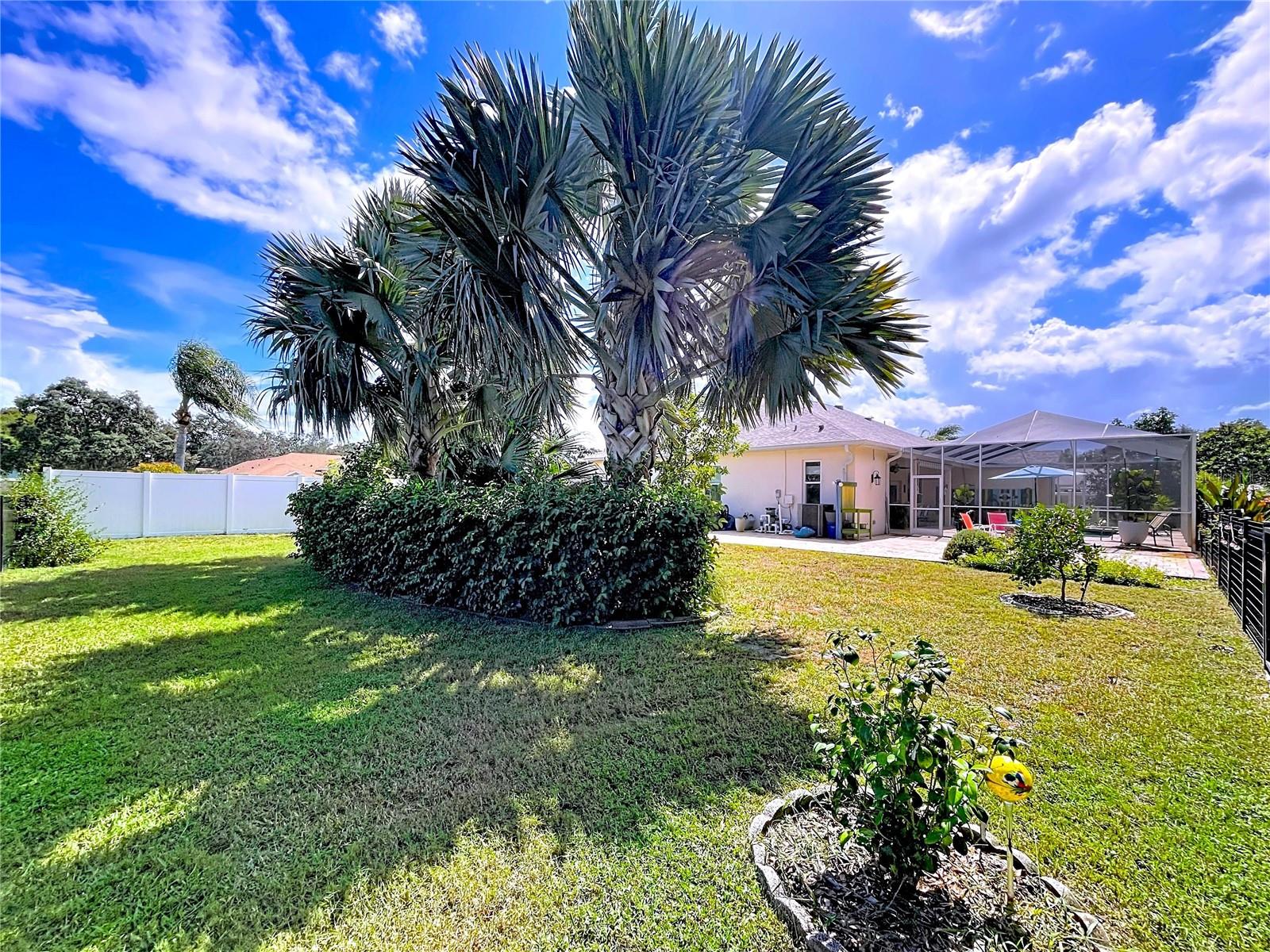 RESERVE AT GOLDEN ACRES PH 03 - Residential