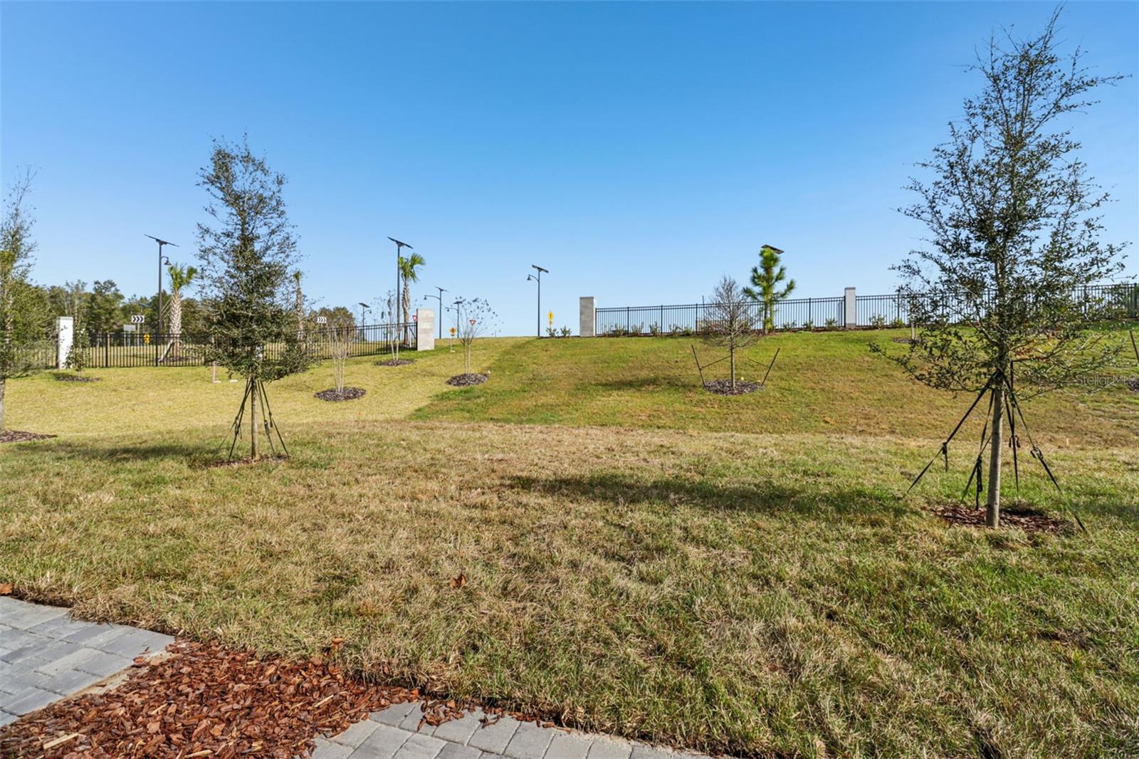 THE RESERVE AT HAMMOCK OAKS - Residential