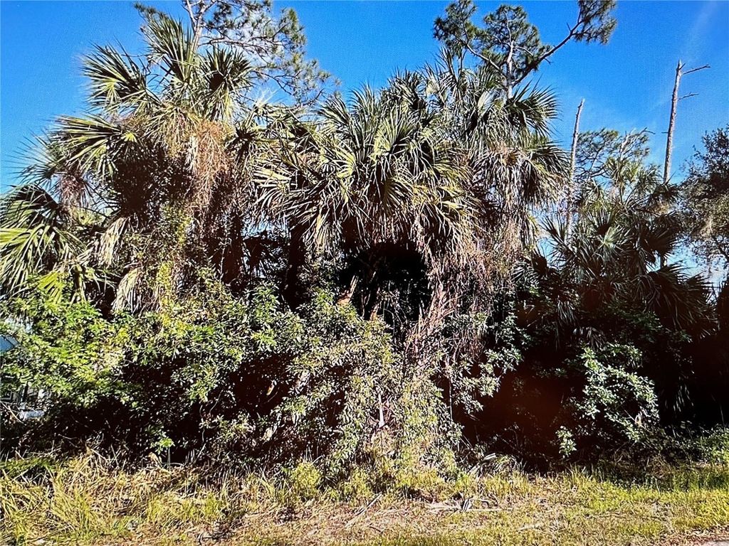 Photo of 219 Swift Street, Port Charlotte, FL 33954 (MLS # N6140882)