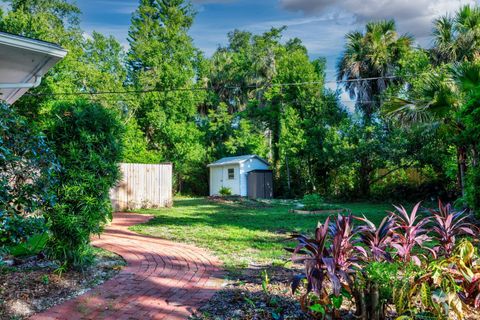 A home in MOUNT DORA