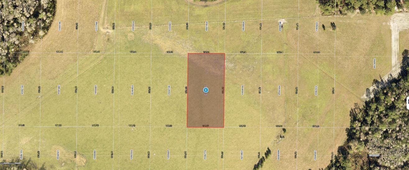 Property Description: W 1/2 OF SW 1/4 OF NW 1/4 OF SE 1/4 OF NW 1/4 ORB 6412 PG 1010
Vacant Residential.
Note: buyers I emphasize the importance of conducting thorough due diligence to ensure that the property meets your expectations and requirements.