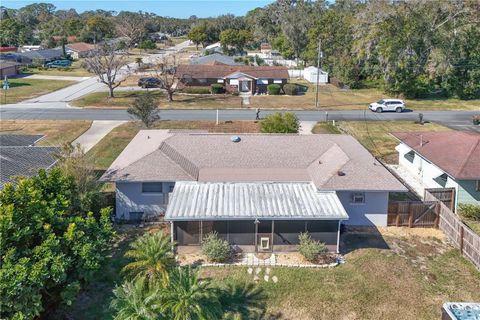 A home in MOUNT DORA