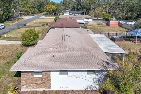 A home in MOUNT DORA