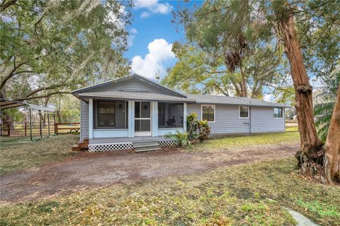 Photo of 13713 Walden Sheffield Road, Dover, FL 33527 (MLS # L4958476)