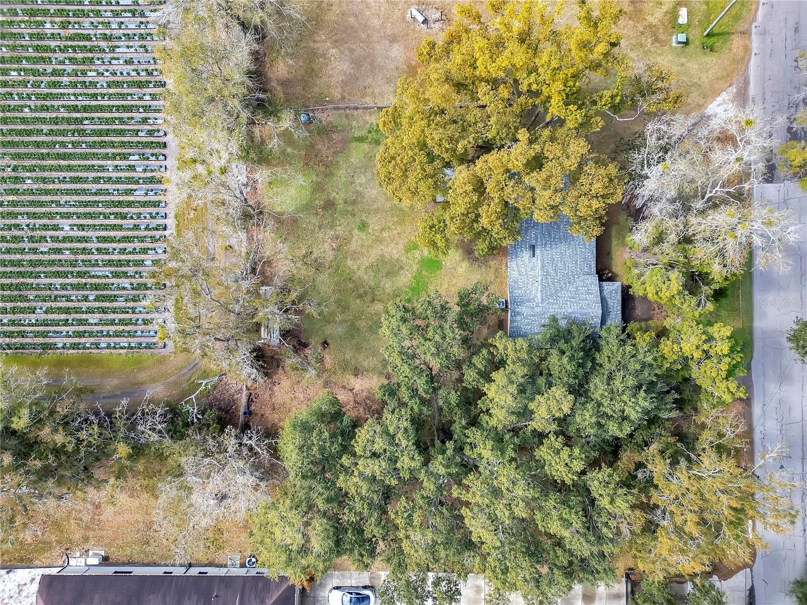 UNPLATTED - Residential