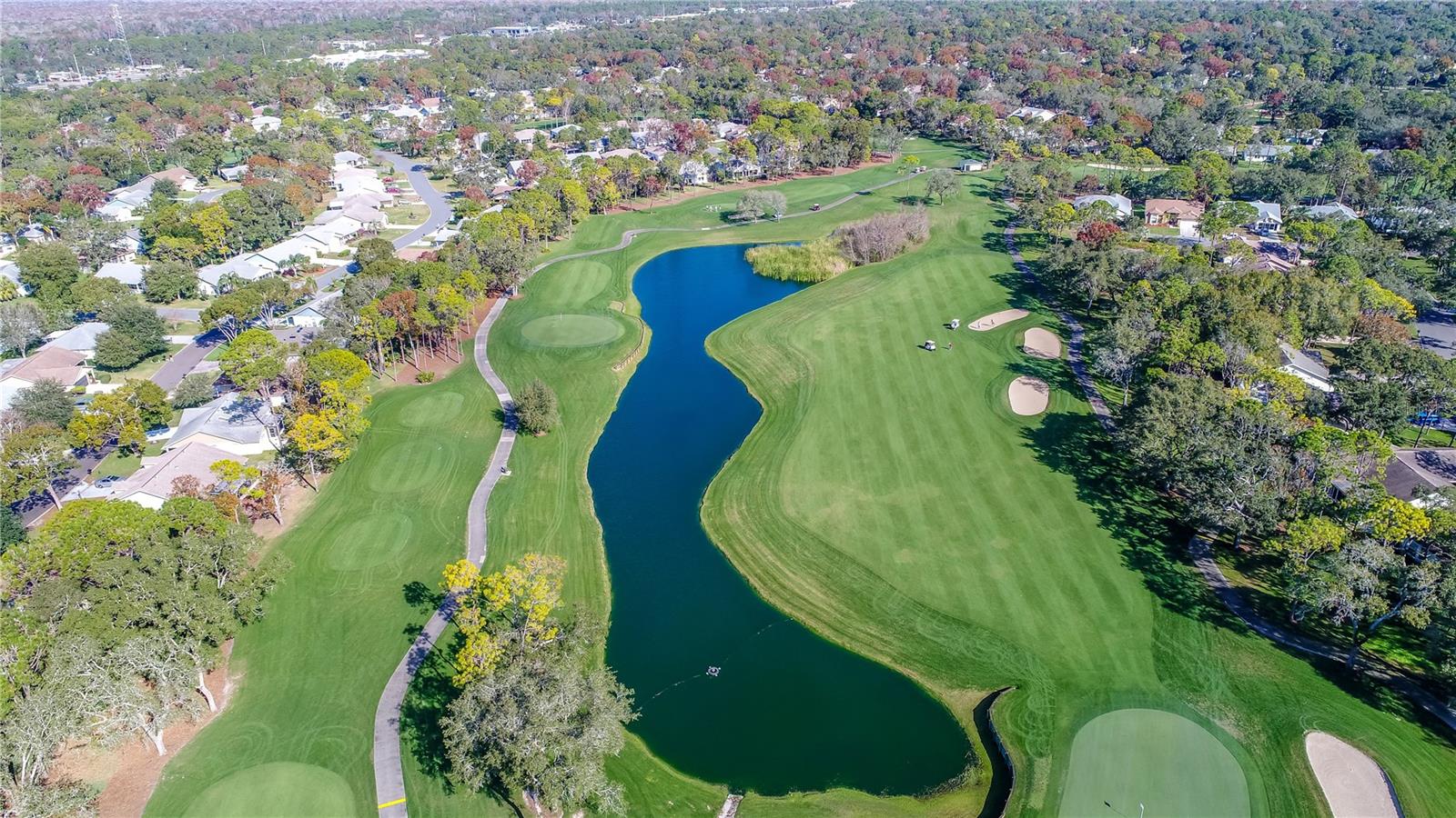 TIMBER PINES - Residential