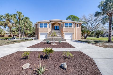 Photo of 733 Seminole Boulevard, Tarpon Springs, FL 34689 (MLS # TB8358195)